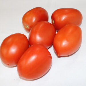 Plum Tomato