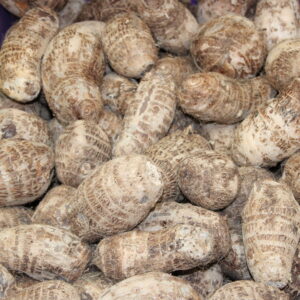 EDO / IGBO COCOYAM