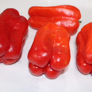 Fresh Bell Pepper