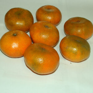 Fresh Mandarins