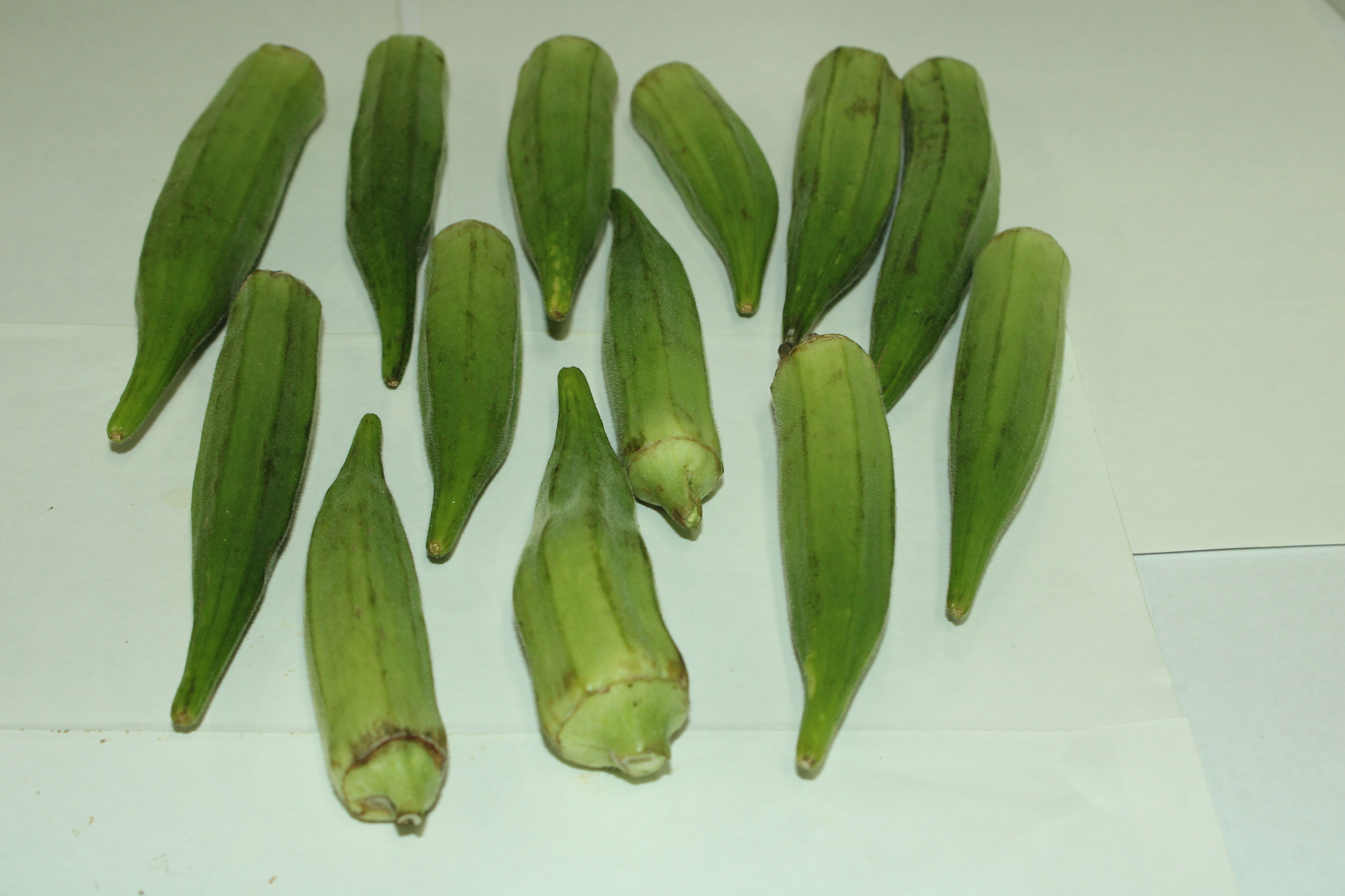 Fresh Okra