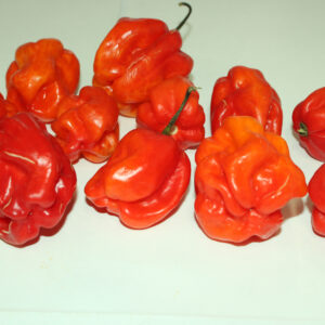 Fresh Red Jamaican Hot Pepper
