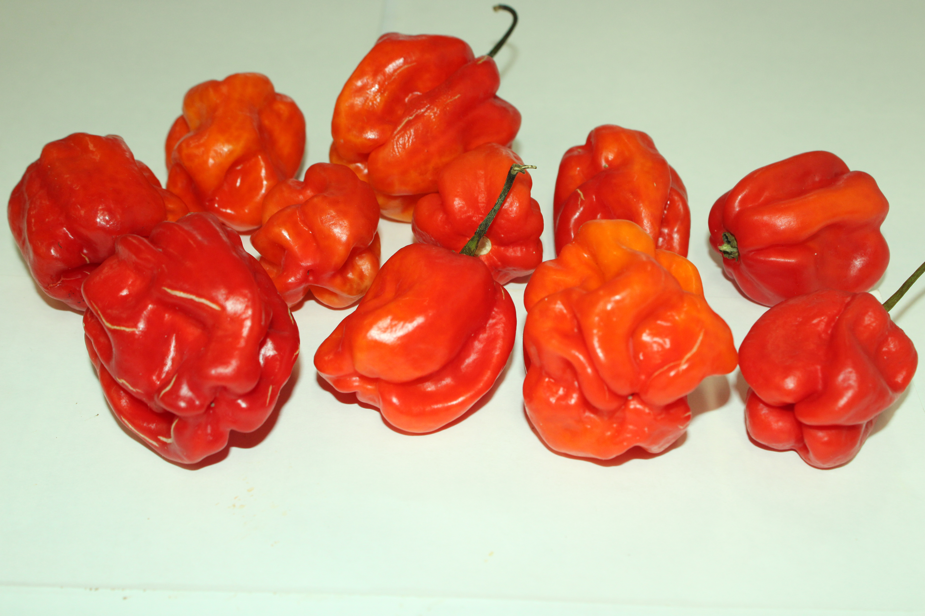 Fresh Red Jamaican Hot Pepper
