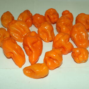 Fresh Yellow Hot Pepper (Copy)