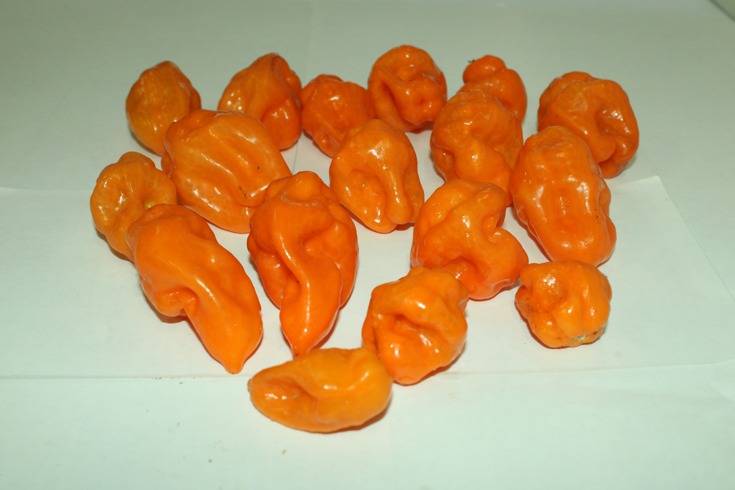 Fresh Yellow Hot Pepper