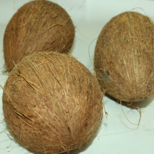Coconut
