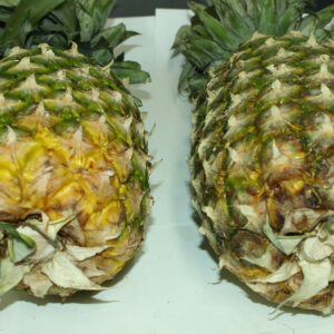 Fresh Pineapple