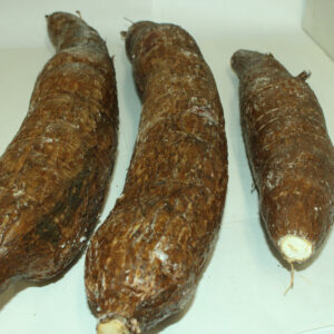 Fresh Cassava
