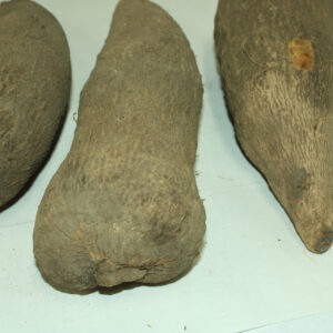 Ghana Yam