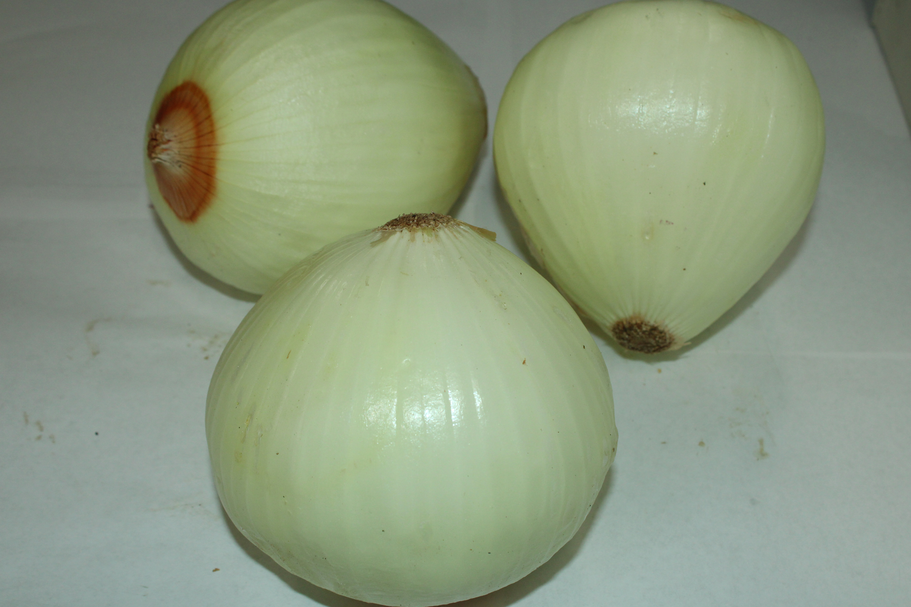 Fresh Yellow Onion