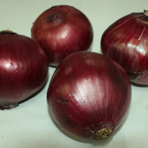 Fresh Red Onion