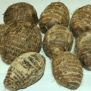 Edo (Igbo Cocoyam)