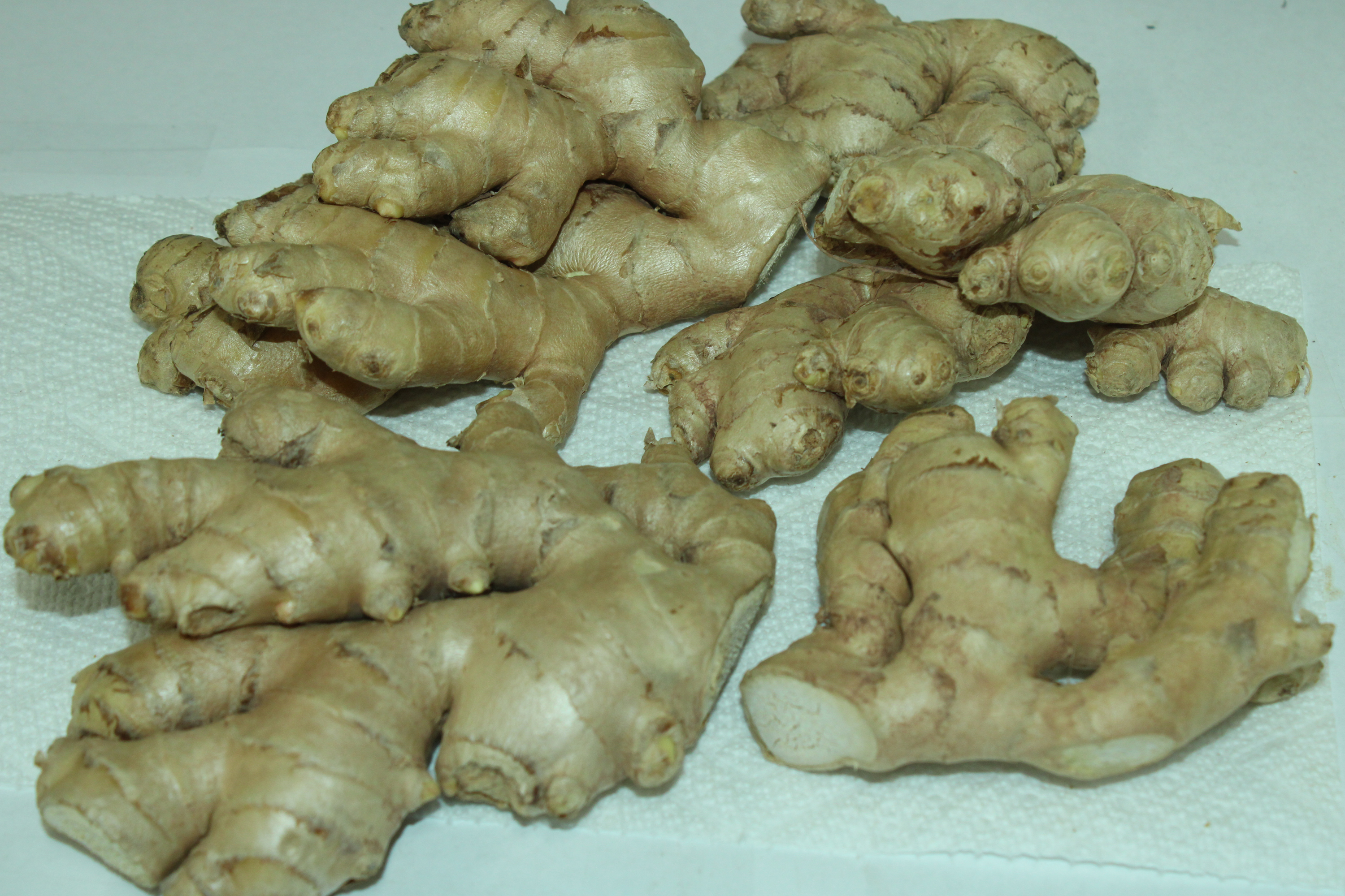 Fresh Organic Ginger